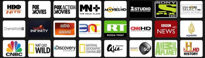Vod Support Indian Iptv Subscription 1 / 3 / 6 / 12 Months Online English Channels