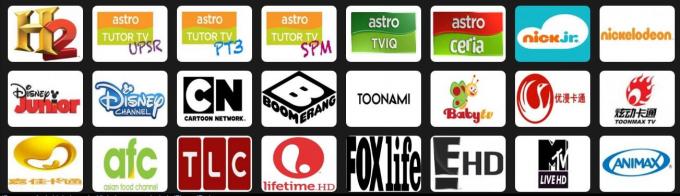 Vod Support Indian Iptv Subscription 1 / 3 / 6 / 12 Months Online English Channels