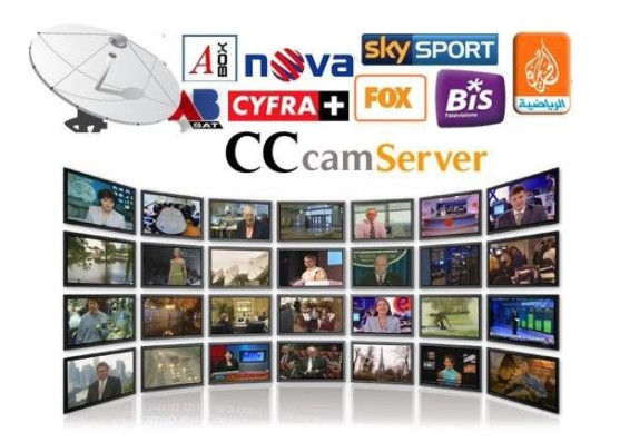 China Stable Cccam Pay Server Automatically Updated With DVB - S2 Receiver supplier